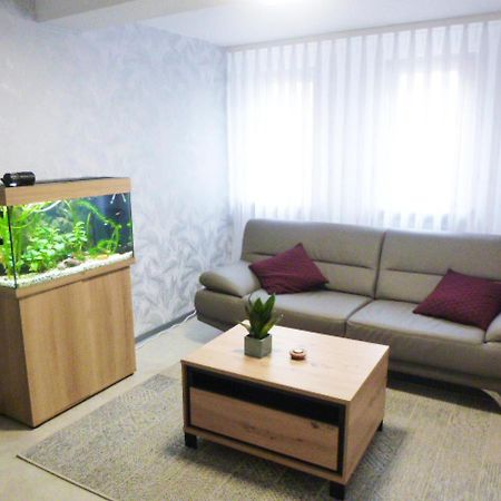 Ferienwohnung Familie Mergner باد لانغينسالزا المظهر الخارجي الصورة
